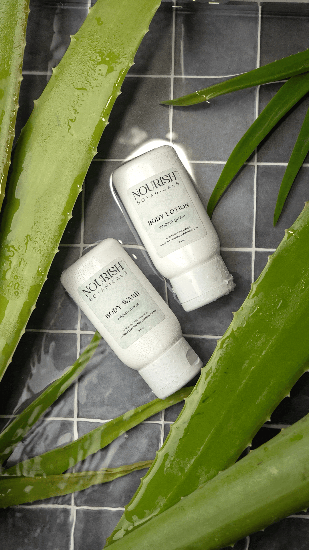 Aloe Vera Body Lotion | Viridian Grove